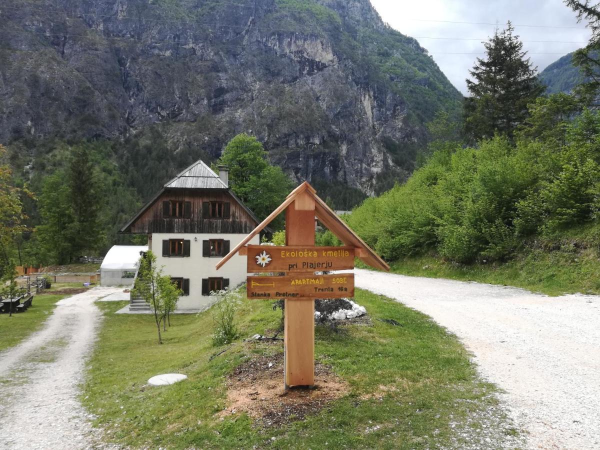Apartamento Organic Tourist Farm Pri Plajerju Trenta Exterior foto