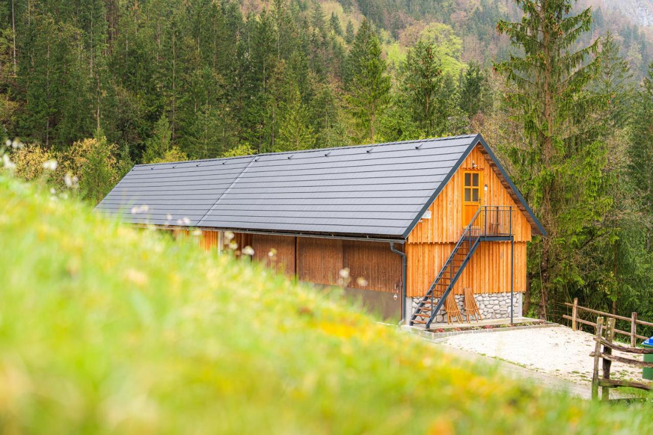 Apartamento Organic Tourist Farm Pri Plajerju Trenta Exterior foto